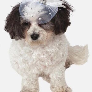 Rubie’s Fancy Veil with Feathers and Rhinestone Formal Hat Accessory